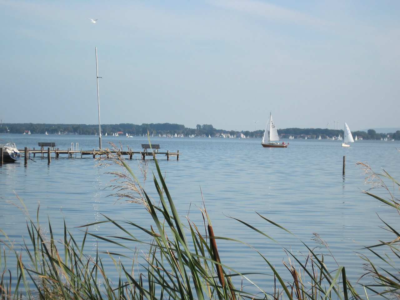 Int. Kehrausregatta – Steinhuder Meer  – 24./25. Sept. 2011