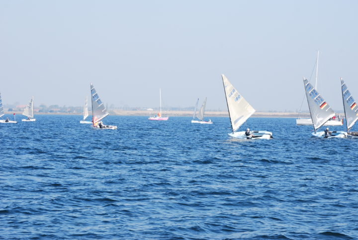 DSC_0488