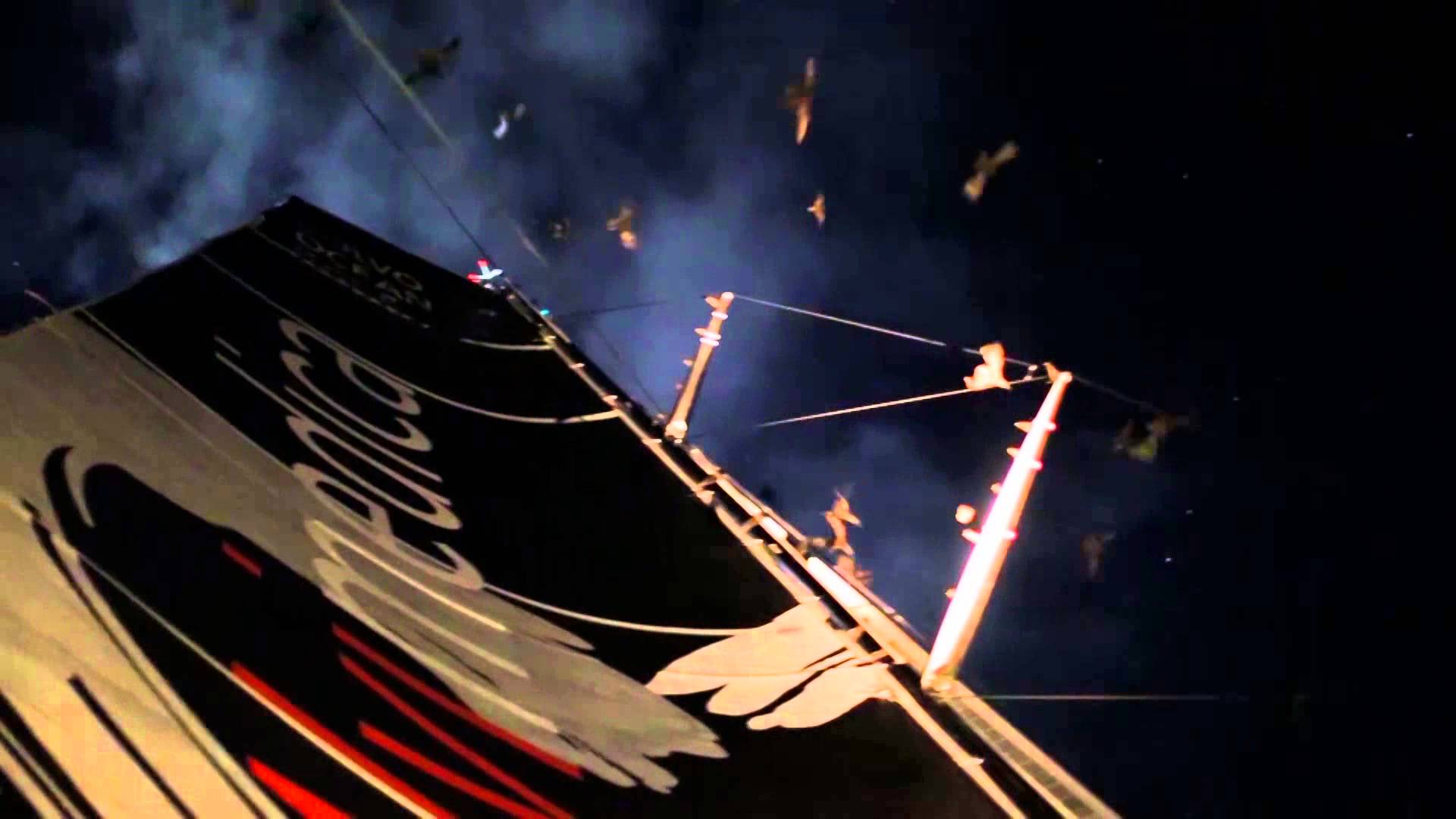 Bird attack on Team Alvimedica | Volvo Ocean Race 2014-15