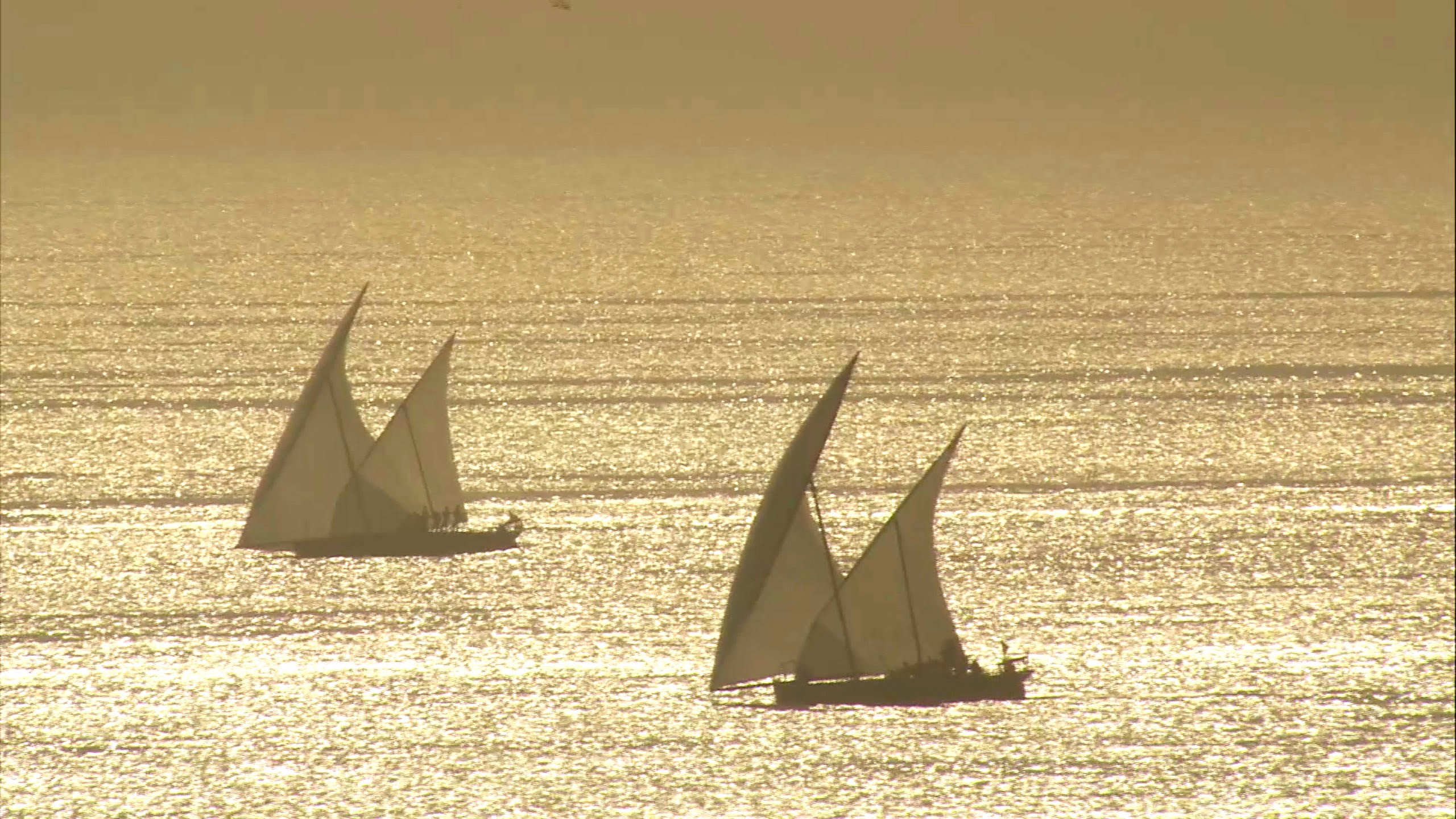 Dau - Regatta in Abu Dhabi