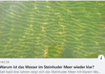 Warum ist das Wasser im Steinhuder Meer wieder klar ?