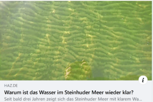 Warum ist das Wasser im Steinhuder Meer wieder klar ?